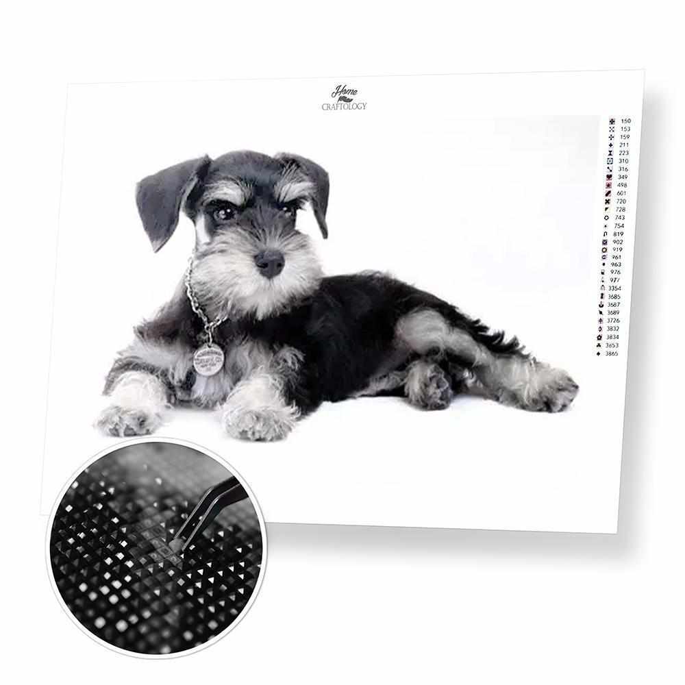 Dog Diamond Painting Cross Stitch  Teacup Terrier Diamond Painting Ki– Diamond  Paintings Store