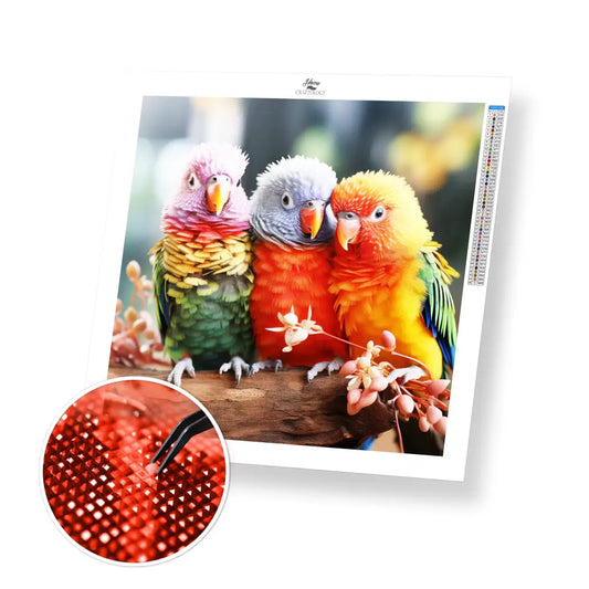 3 Rainbow Lorikeets - Exclusive Premium Diamond Painting Kit - 30x30cm / 12x12’’ / Square (Most Popular) - Diamond