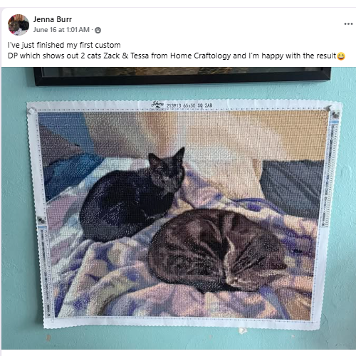 Happy Customers Who Love Home Craftology Kits
