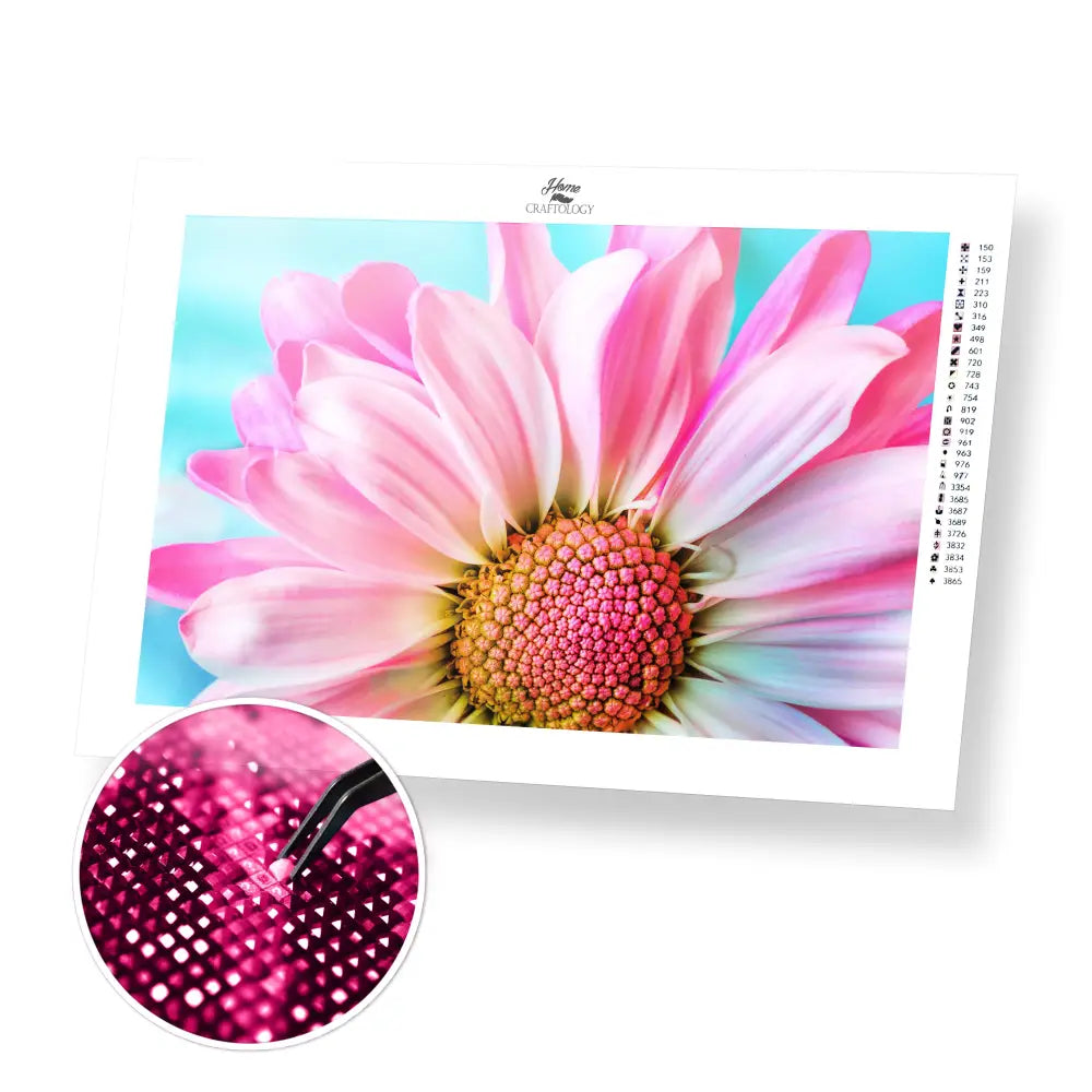 AB Pink Daisy - Premium Diamond Painting Kit - 60x40cm / 24x16’’ / AB Square / 2 Colors - Diamond Painting Kit