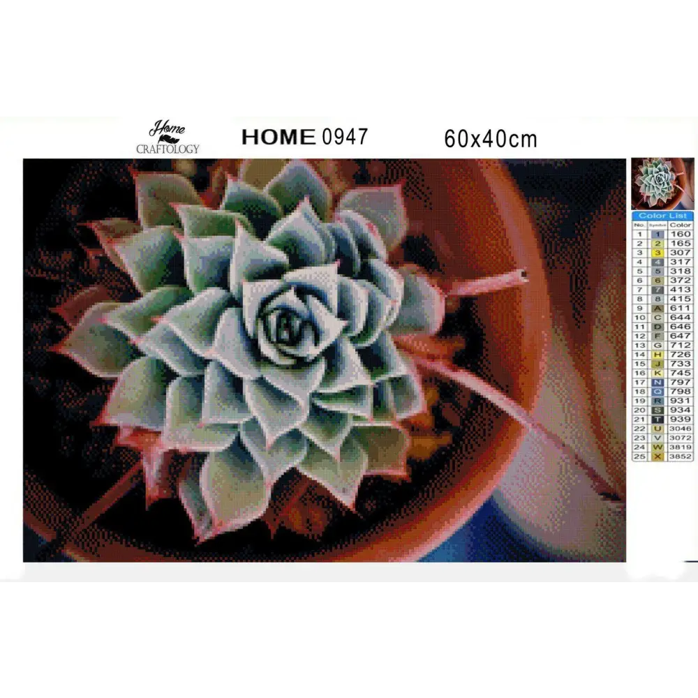 Afterglow Succulent - Diamond Painting Kit - Home Craftology