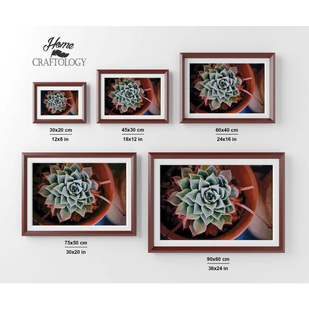 Afterglow Succulent - Premium Diamond Painting Kit - Diamond Painting Kit