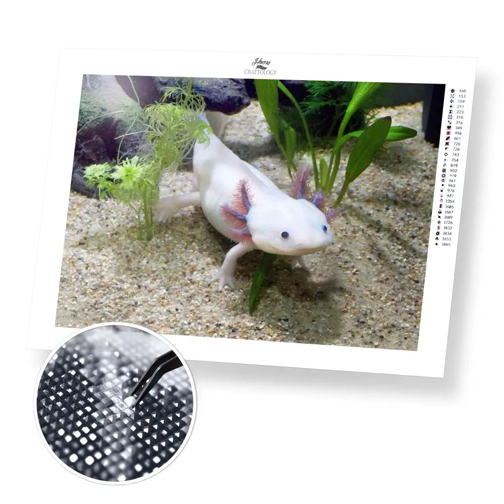 Axolotl - Premium Diamond Painting Kit - 40x30cm / 16x12’’ / Square (Most Popular) - Diamond Painting Kit