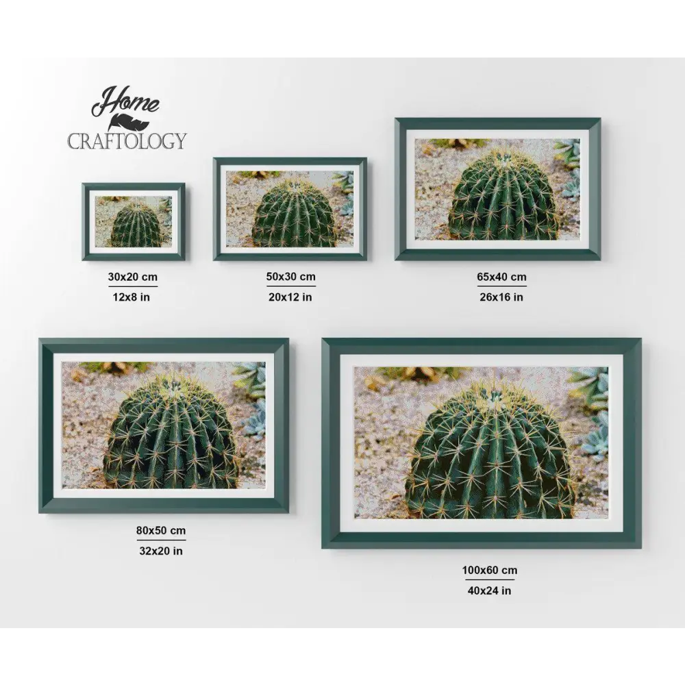 Barrel Cactus - Premium Diamond Painting Kit - Diamond Painting Kit