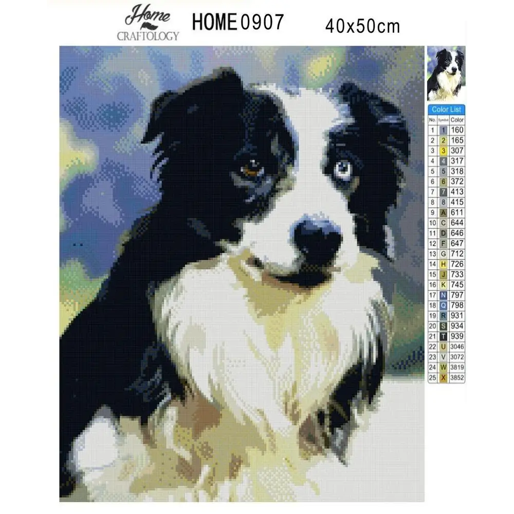 Border Collie - Diamond Painting Kit - Home Craftology