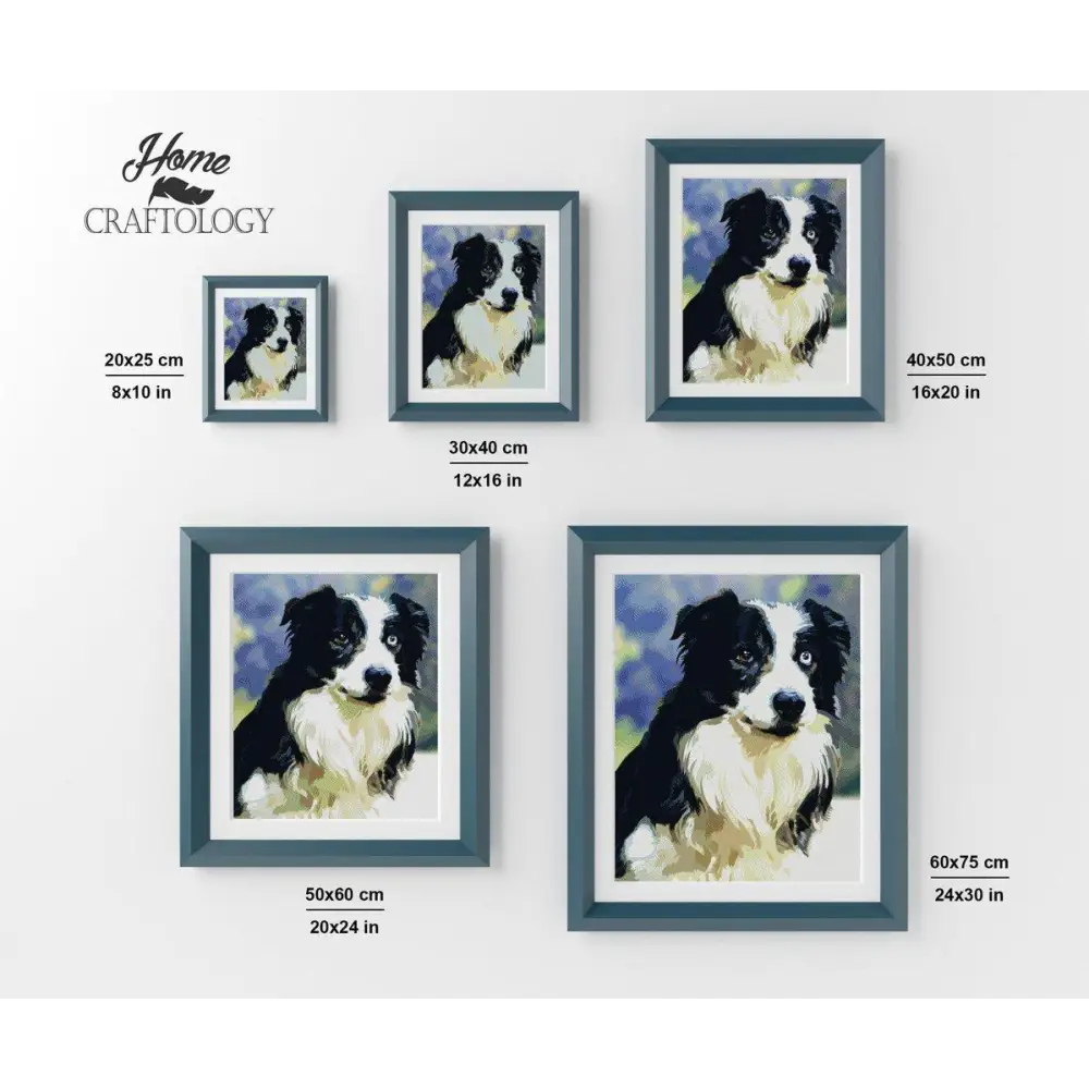Border Collie - Diamond Painting Kit - Home Craftology