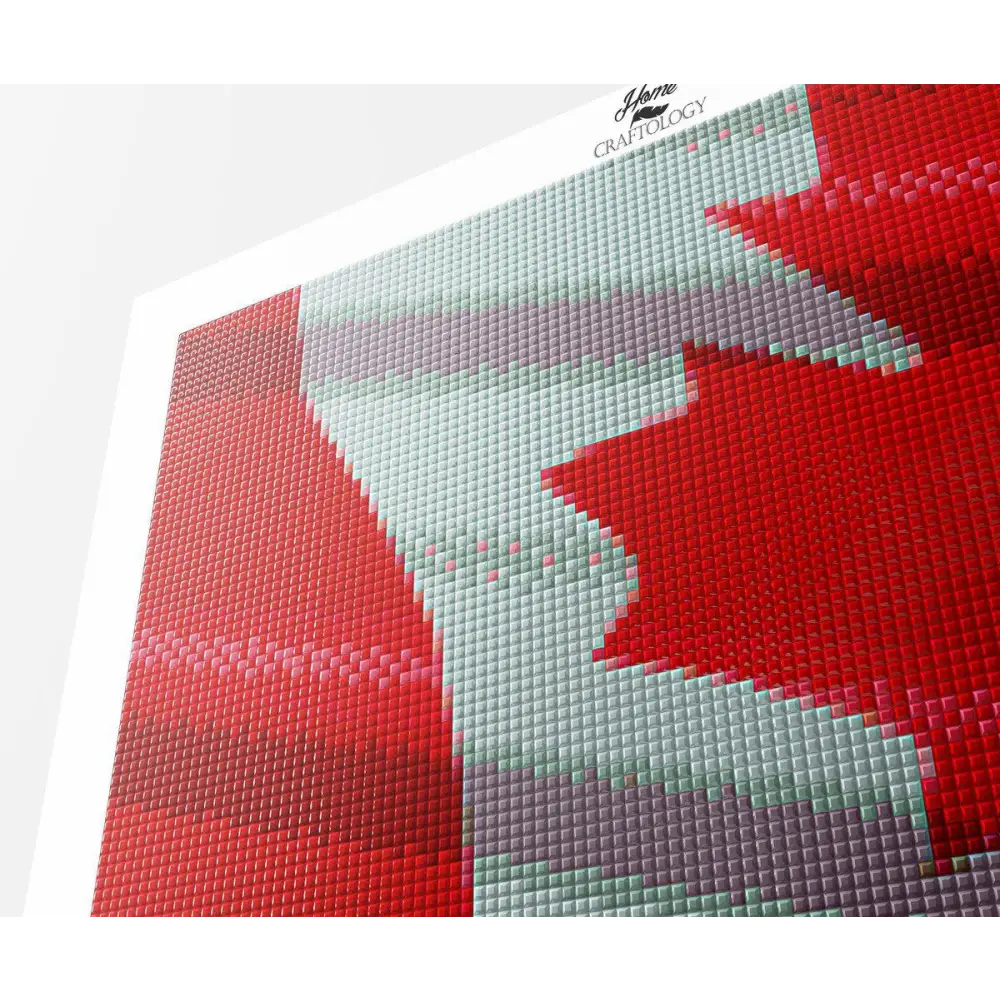 Canada Olympics - Premium Diamond Painting Kit - Diamond Painting Kit