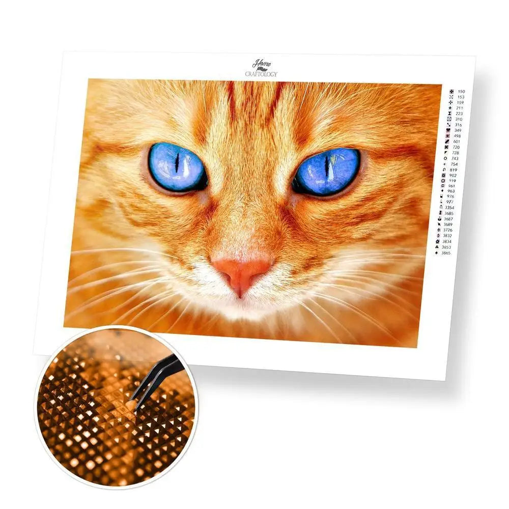 Cat with Bright Blue Eyes - Premium Diamond Painting Kit - 40x30cm / 16x12’’ / Square (Most Popular) - Diamond Painting