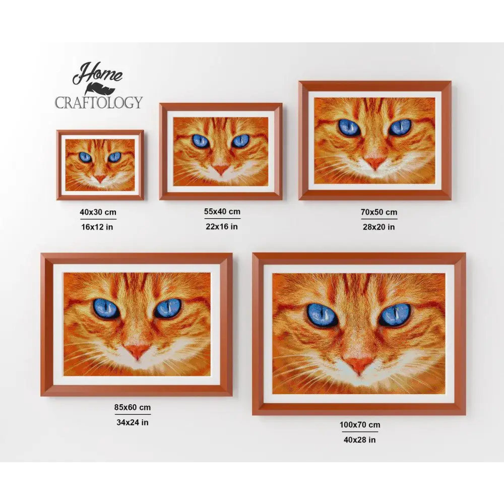 Cat with Bright Blue Eyes - Premium Diamond Painting Kit - Diamond Painting Kit