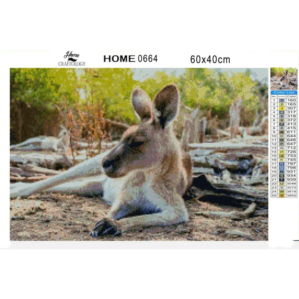 Chillin' Kangaroo - Diamond Painting Kit - Home Craftology