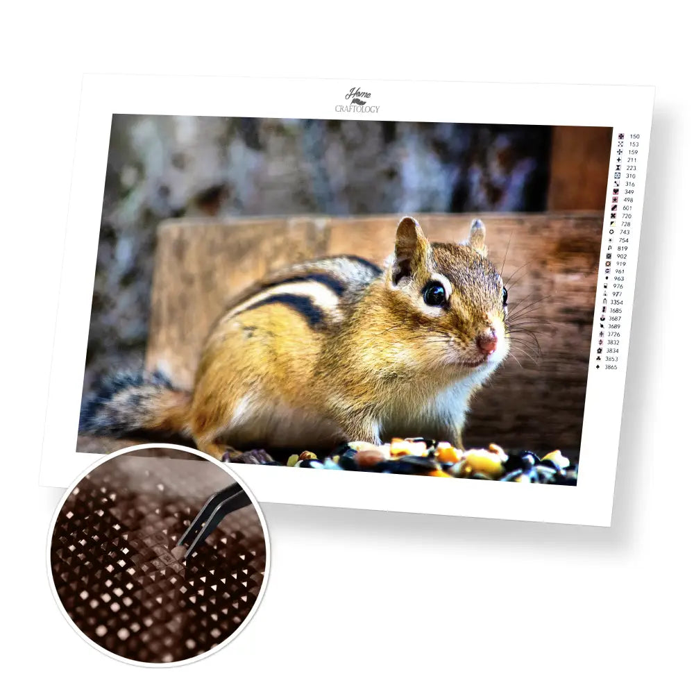 Chipmunk - Premium Diamond Painting Kit - 45x30cm / 18x12’’ / Square (Most Popular) - Diamond Painting Kit