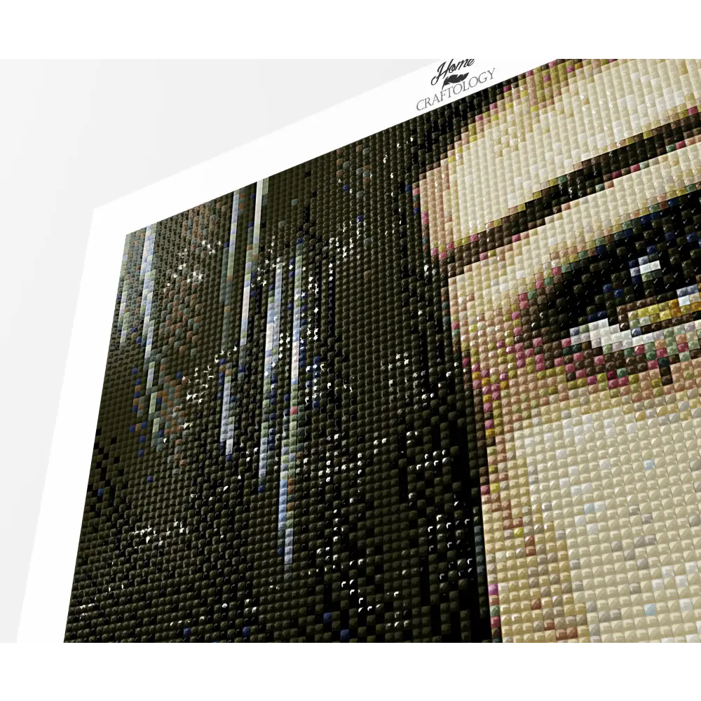 Close-up Girl’s Face Painting - Premium Diamond Painting Kit - Diamond Painting Kit
