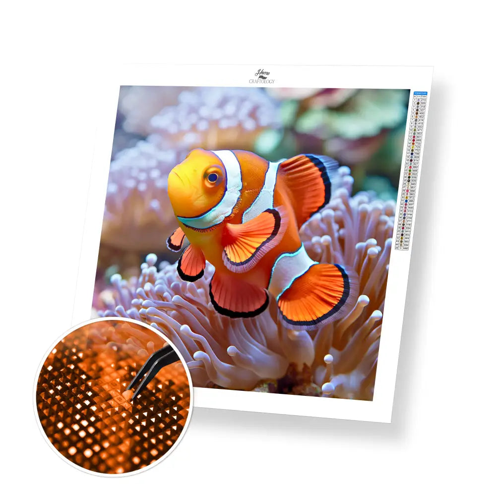 Clown Fish - Exclusive Premium Diamond Painting Kit - 20x20cm / 8x8’’ / Square (Most Popular) / No Frame - Diamond