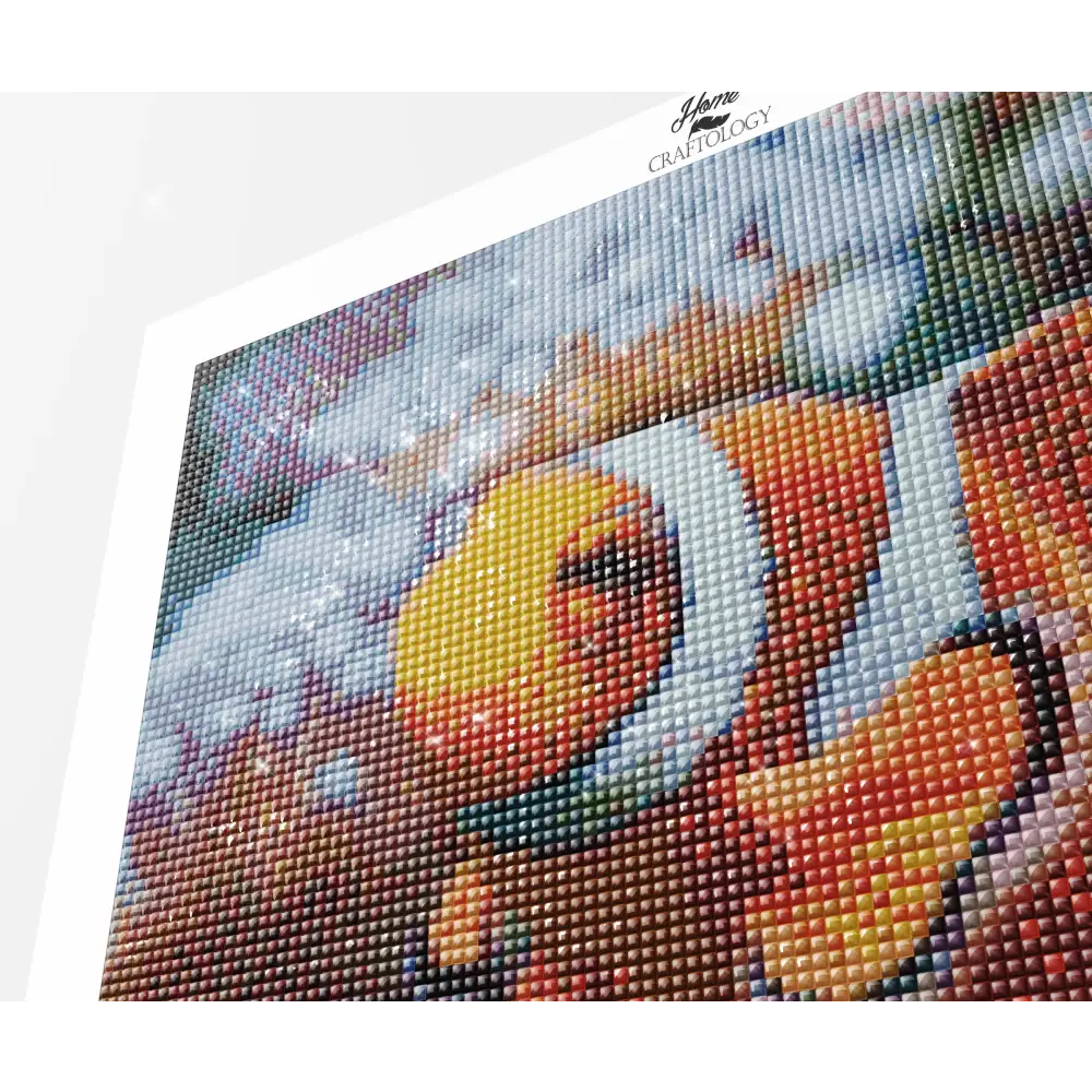 Clown Fish - Exclusive Premium Diamond Painting Kit - Diamond Painting Kit
