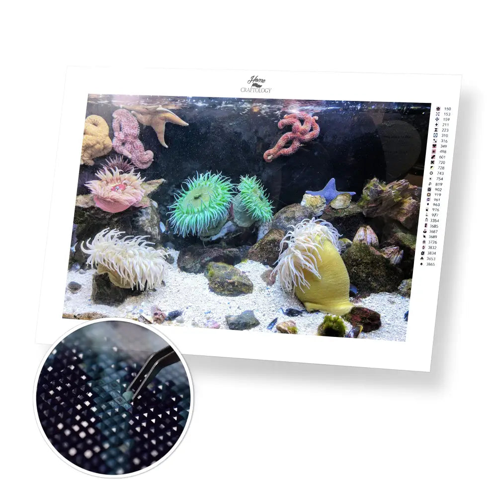 Corals Sand & Rocks - Premium Diamond Painting Kit - 45x30cm / 18x12’’ / Square (Most Popular) - Diamond Painting Kit