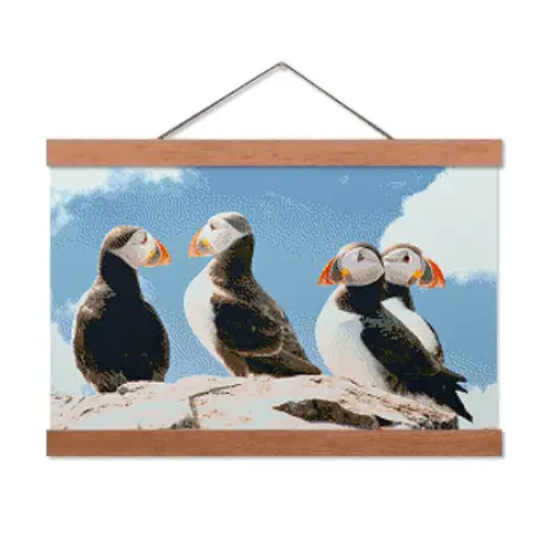 Cute Puffins - Premium Diamond Painting Kit - Diamond Painting Kit
