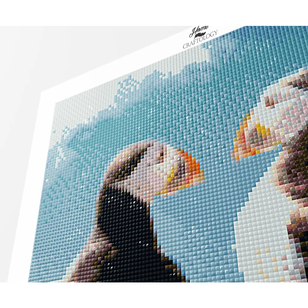 Cute Puffins - Premium Diamond Painting Kit - Diamond Painting Kit