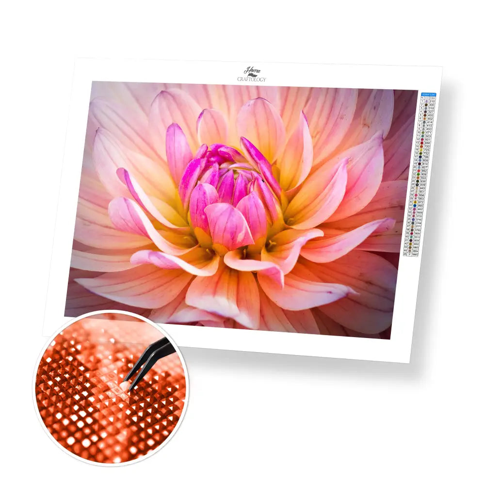 Dahlia Close-up - Premium Diamond Painting Kit - 25x20cm / 10x8’’ / Square (Most Popular) - Diamond Painting Kit