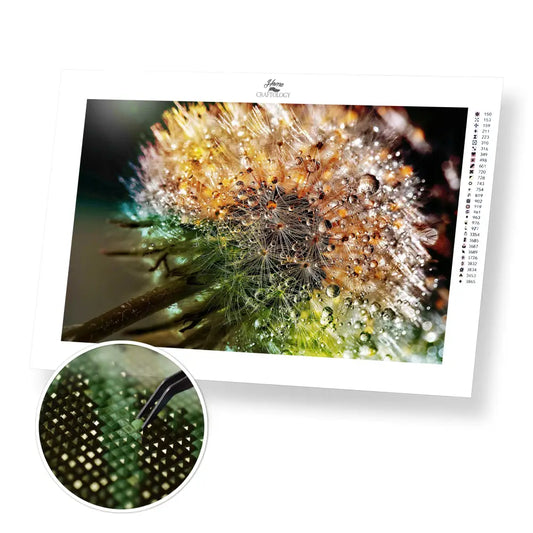 Dandelion Dewdrop - Premium Diamond Painting Kit - 45x30cm / 18x12’’ / Square (Most Popular) - Diamond Painting Kit