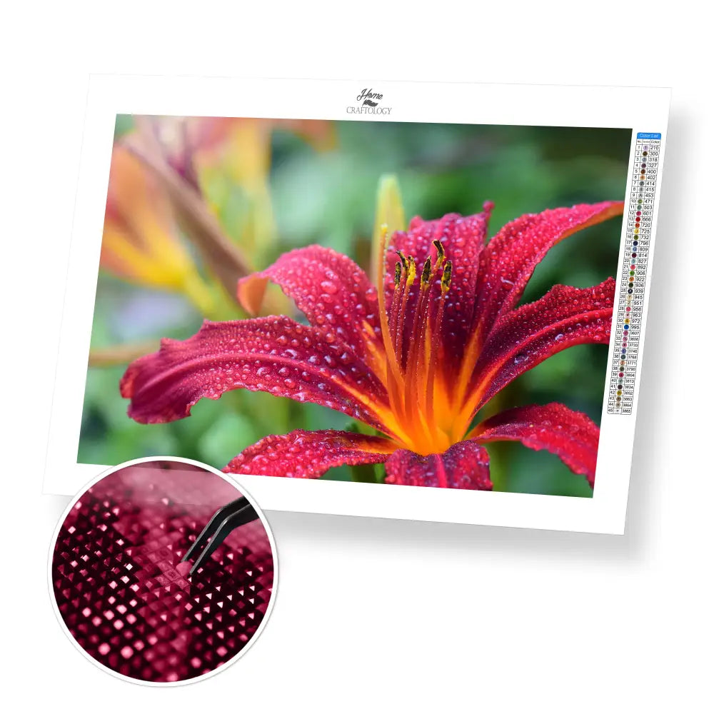 Daylily - Premium Diamond Painting Kit - 45x30cm / 18x12’’ / Square (Most Popular) - Diamond Painting Kit