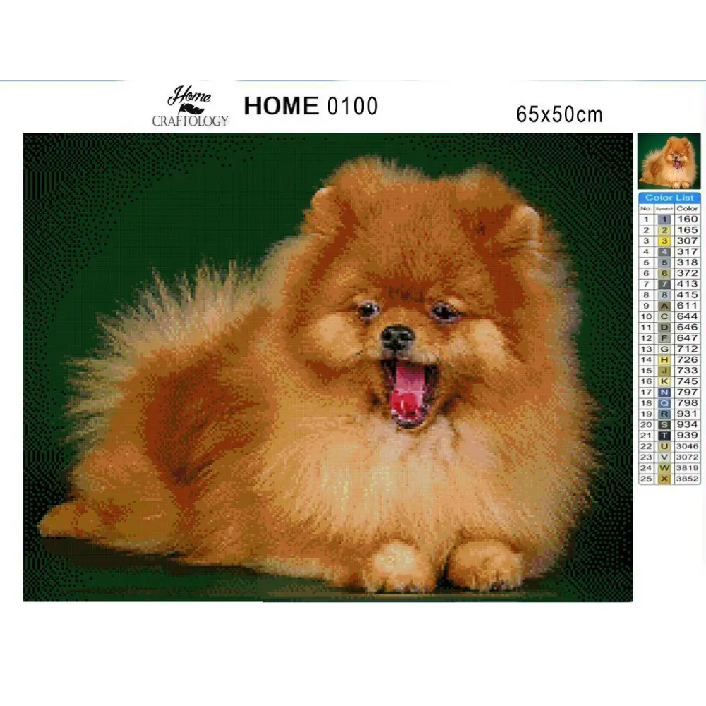 Dog Pomeranian - Premium Diamond Painting Kit - Diamond Painting Kit