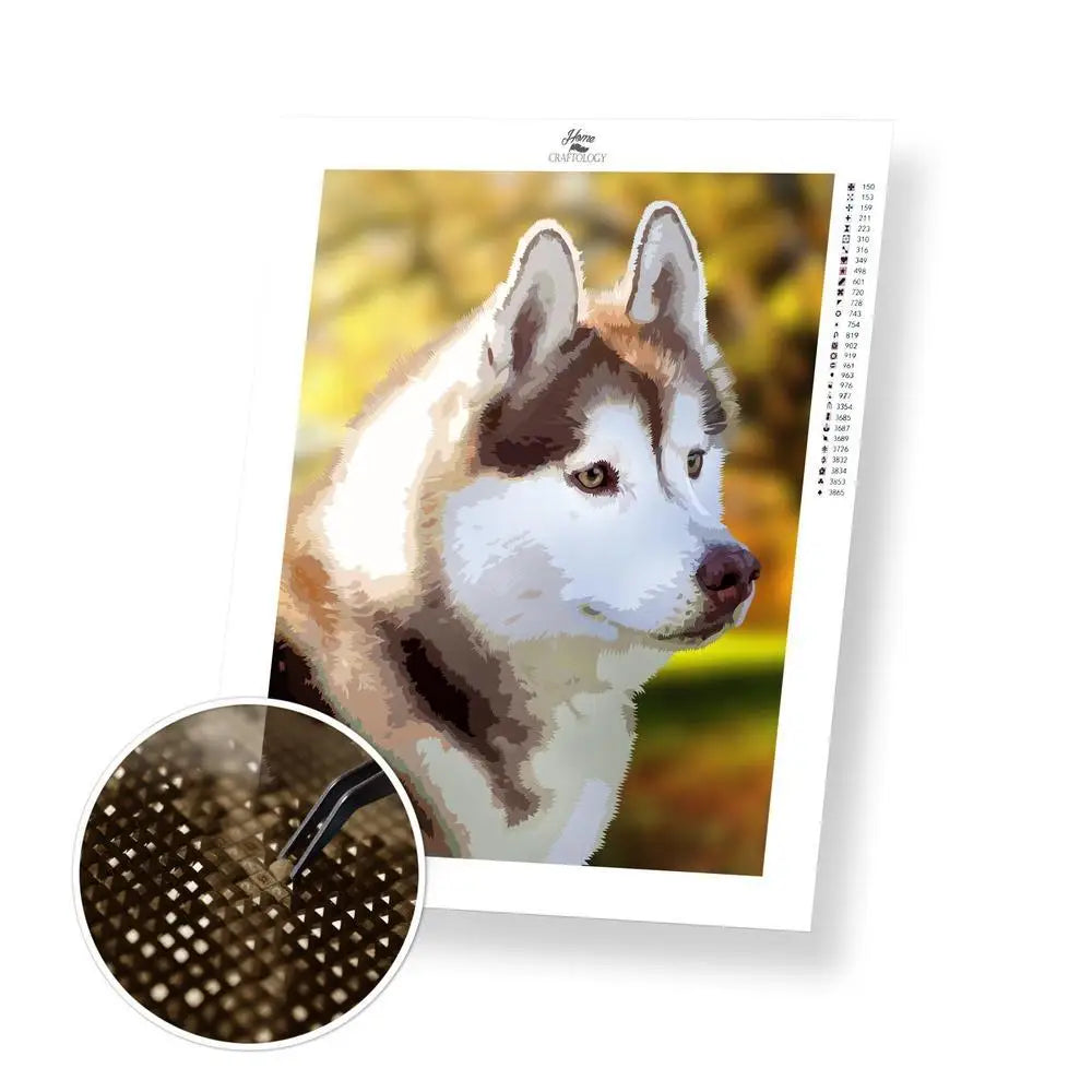 Get Started - Premium Diamond Painting Kit - Diamond Painting Kit