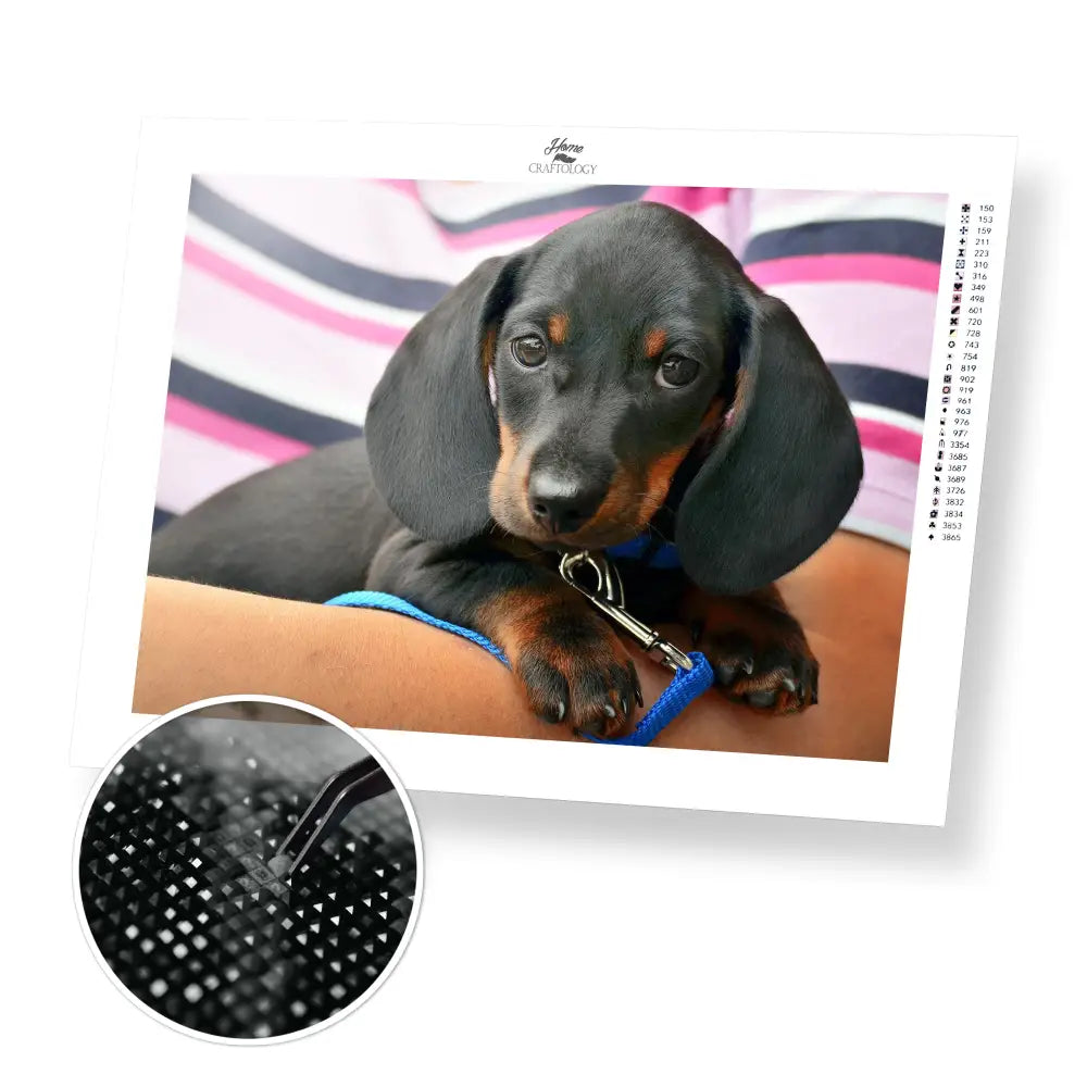 Little Dachshund - Premium Diamond Painting Kit - 40x30cm / 16x12’’ / Square (Most Popular) - Diamond Painting Kit