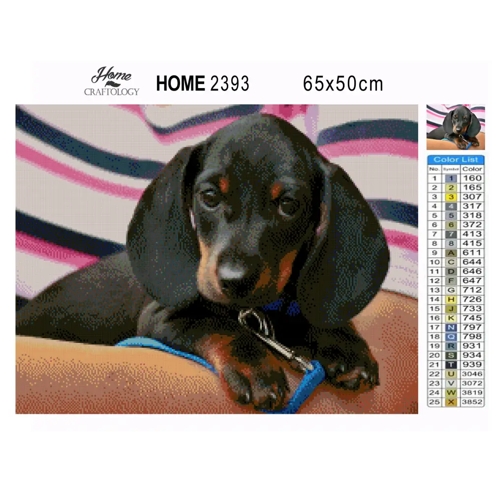 Little Dachshund - Premium Diamond Painting Kit - Diamond Painting Kit