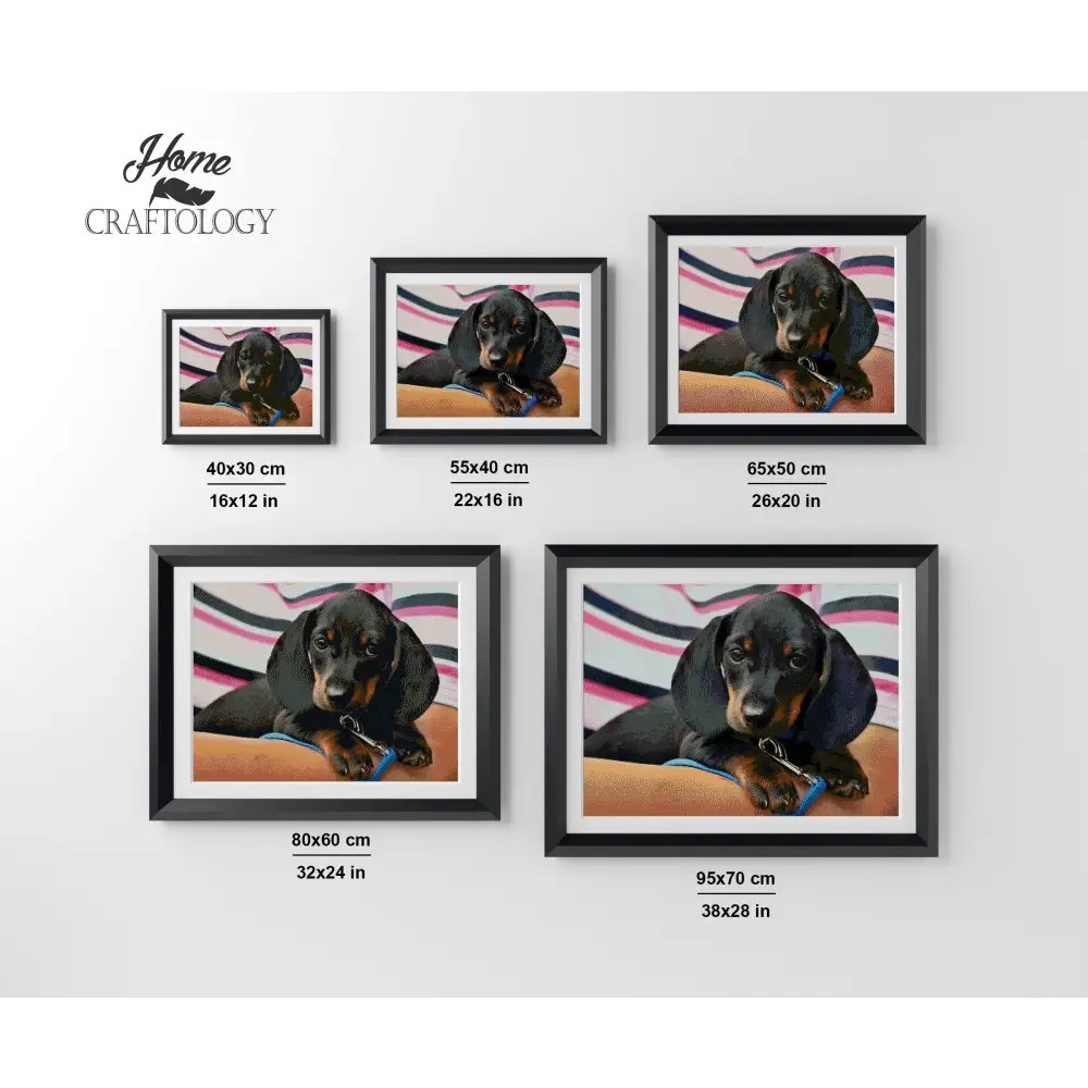 Little Dachshund - Premium Diamond Painting Kit - Diamond Painting Kit