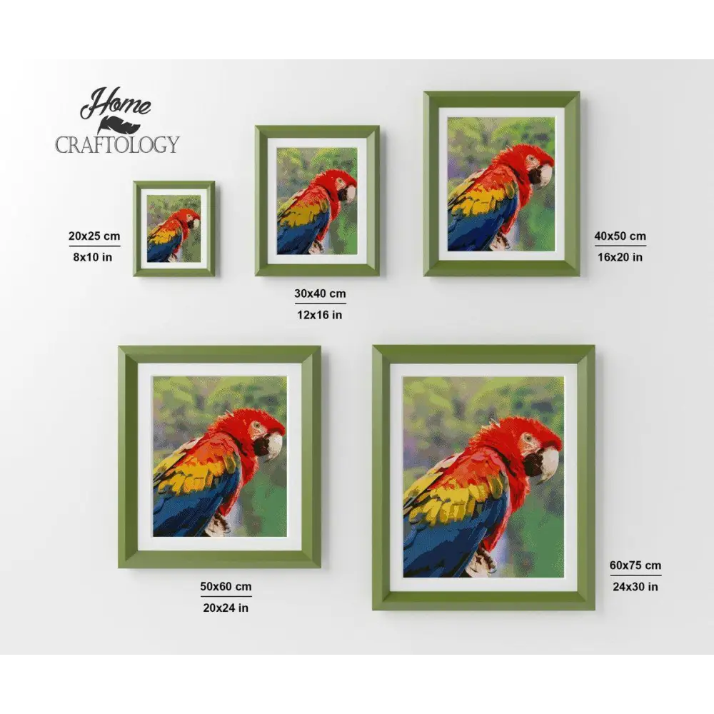 Macaw - Diamond Painting Kit - Home Craftology