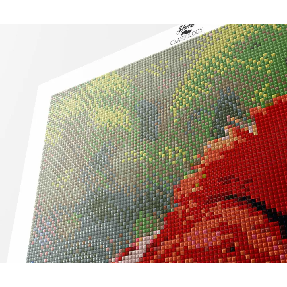 Macaw - Diamond Painting Kit - Home Craftology
