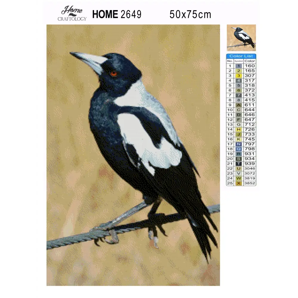 Magpie - Premium Diamond Painting Kit - Diamond Painting Kit