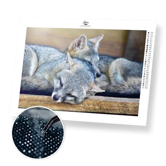 New! Silver Fox - Premium Diamond Painting Kit - 45x30cm / 18x12’’ / Square (Most Popular) - Diamond Painting Kit