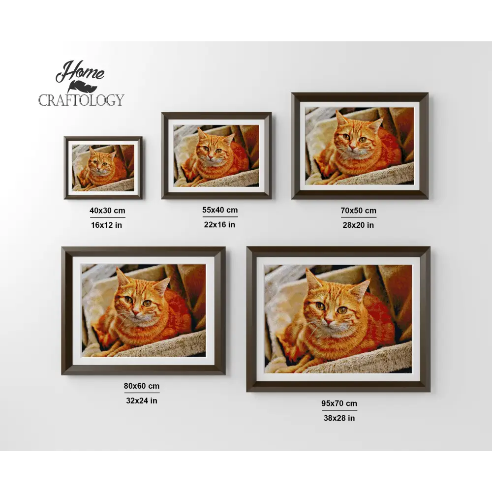 Orange Cat - Premium Diamond Painting Kit - Diamond Painting Kit
