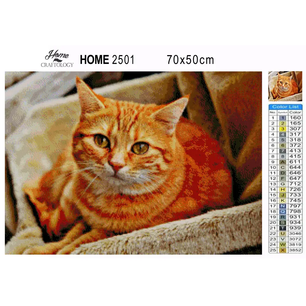 Orange Cat - Premium Diamond Painting Kit - Diamond Painting Kit