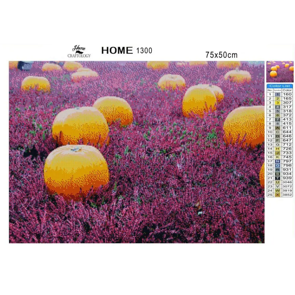 Pumpkin Patch - Diamond Painting Kit - Home Craftology