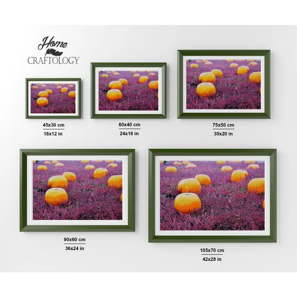 Pumpkin Patch - Premium Diamond Painting Kit - Diamond Painting Kit