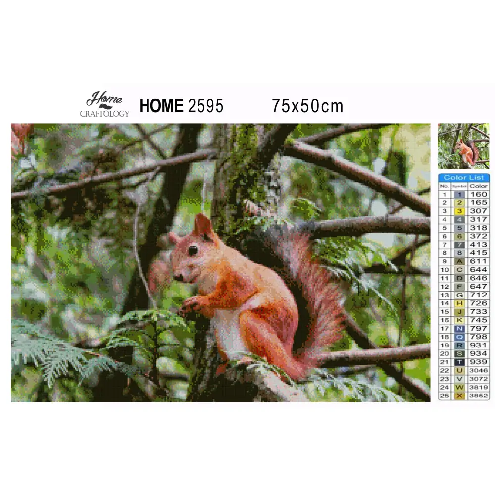 Red Squirrel - Premium Diamond Painting Kit - Diamond Painting Kit