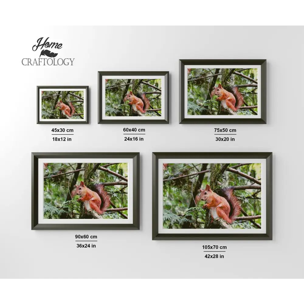 Red Squirrel - Premium Diamond Painting Kit - Diamond Painting Kit