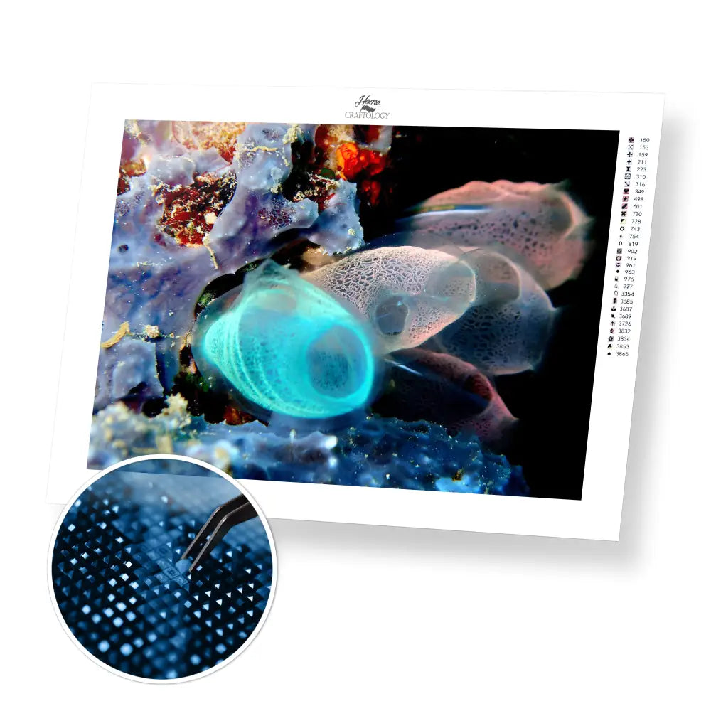 Sea Squirt - Premium Diamond Painting Kit - 40x30cm / 16x12’’ / Square (Most Popular) - Diamond Painting Kit