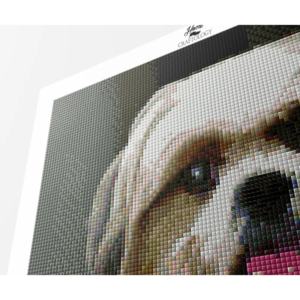 Shih Tzu - Diamond Painting Kit - Home Craftology