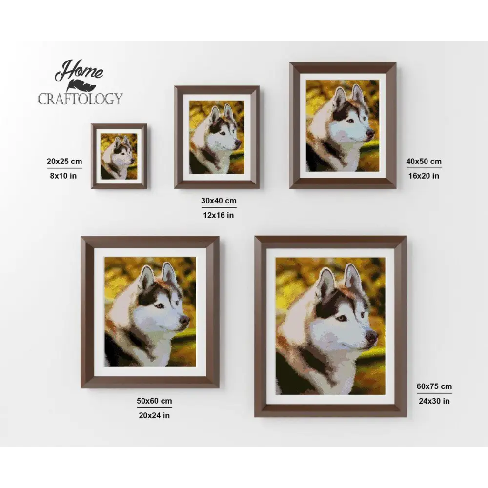 Siberian Husky - Diamond Painting Kit - Home Craftology