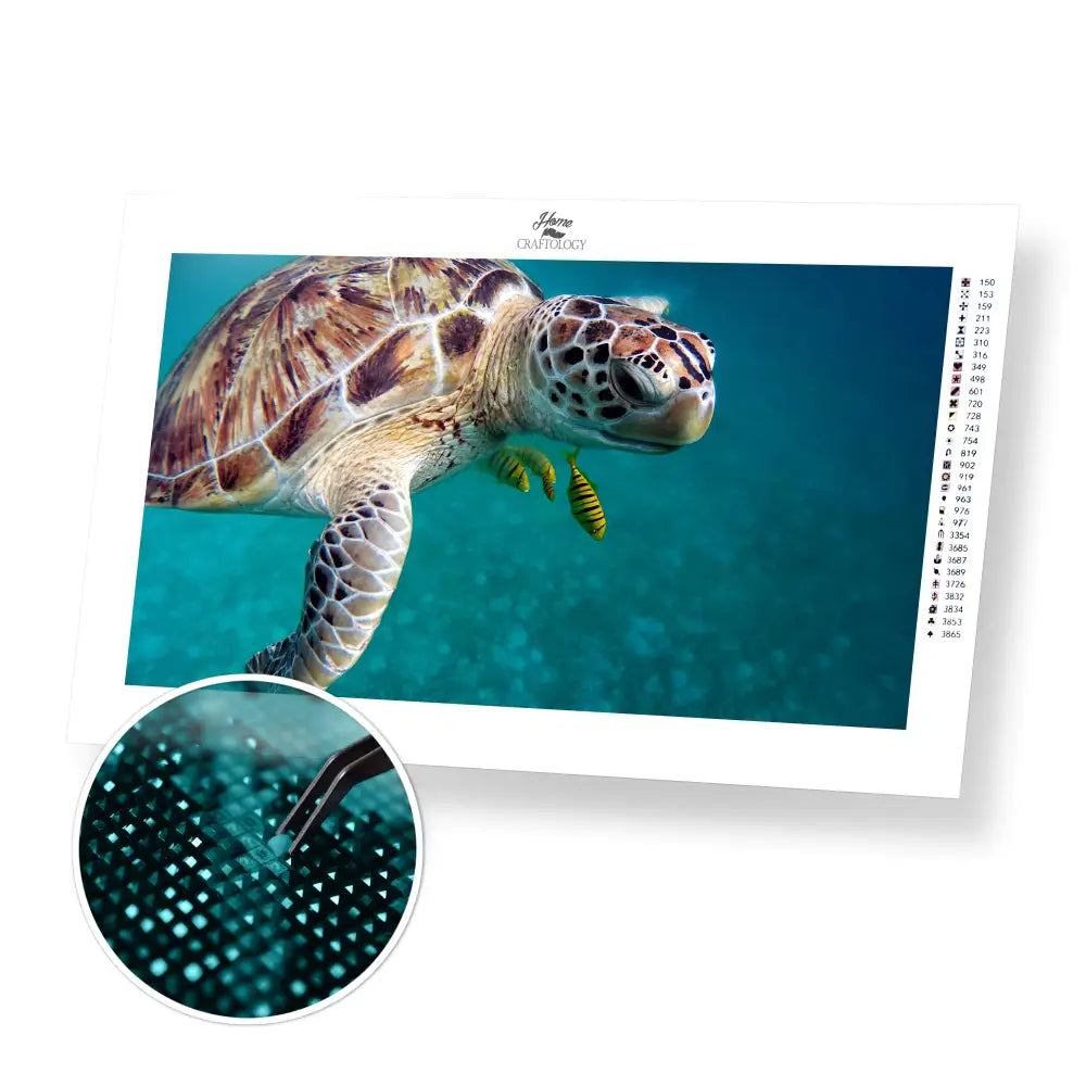 Turtle with Fishes - Premium Diamond Painting Kit - 55x30cm / 22x12’’ / Square (Most Popular) - Diamond Painting Kit