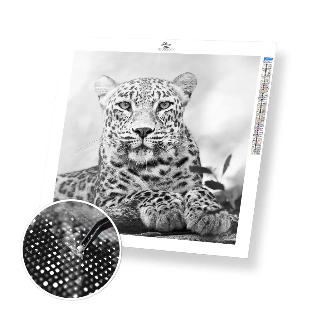 Wild Cat - Premium Diamond Painting Kit - 30x30cm / 12x12’’ / Square (Most Popular) - Diamond Painting Kit