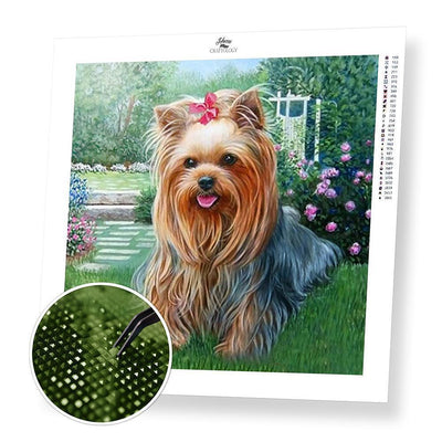 Dog Yorkshire Terrier - Diamond Painting Kit - Home Craftology