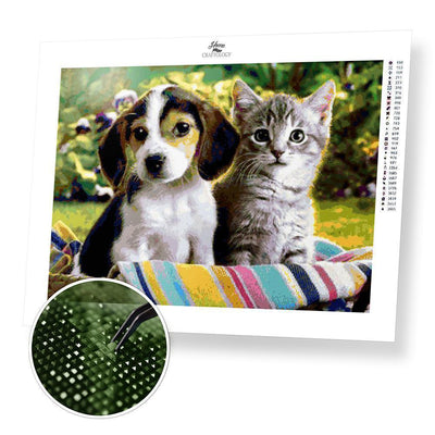 Dog and Cat - Diamond Painting Kit - Home Craftology