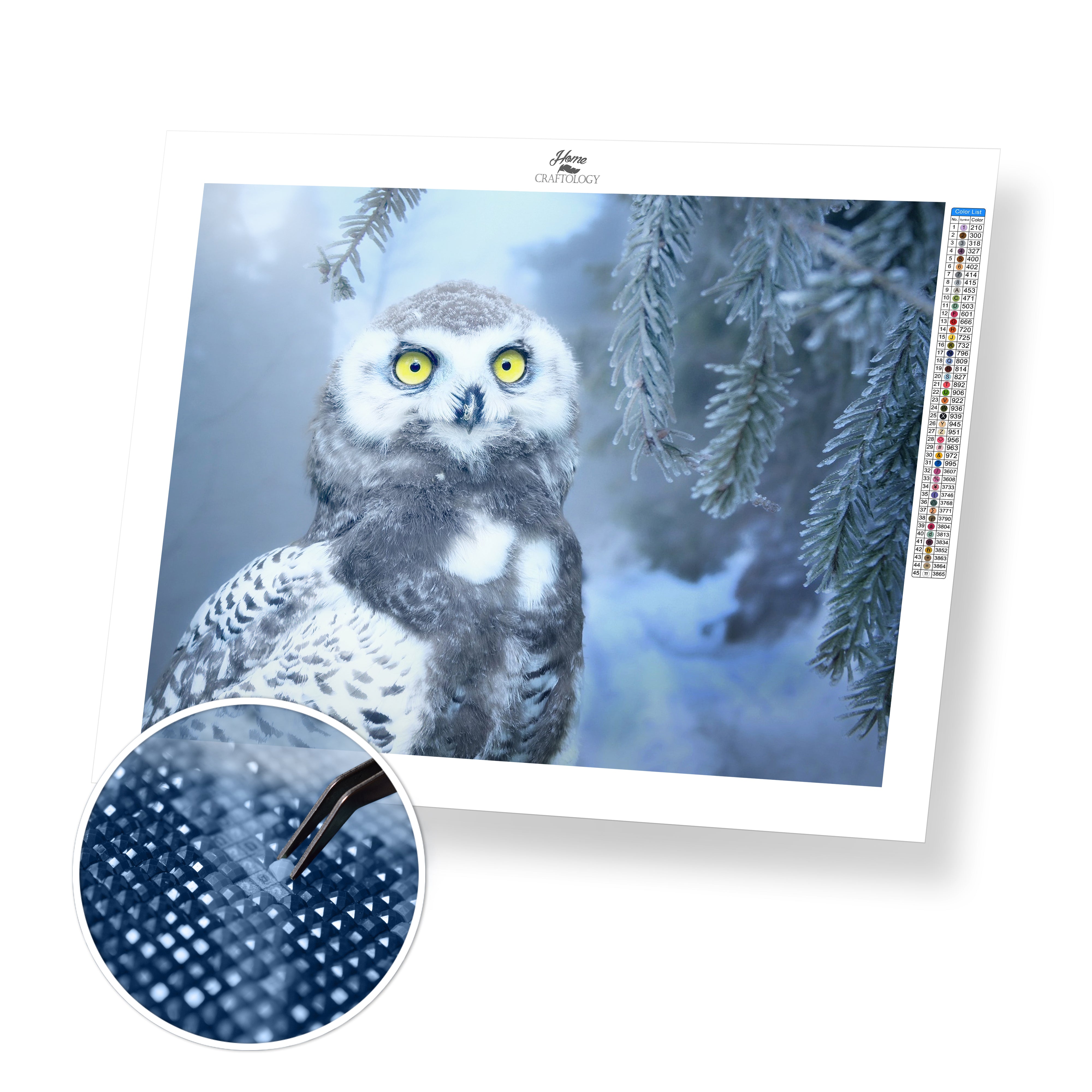 Owl Diamond Painting Kit