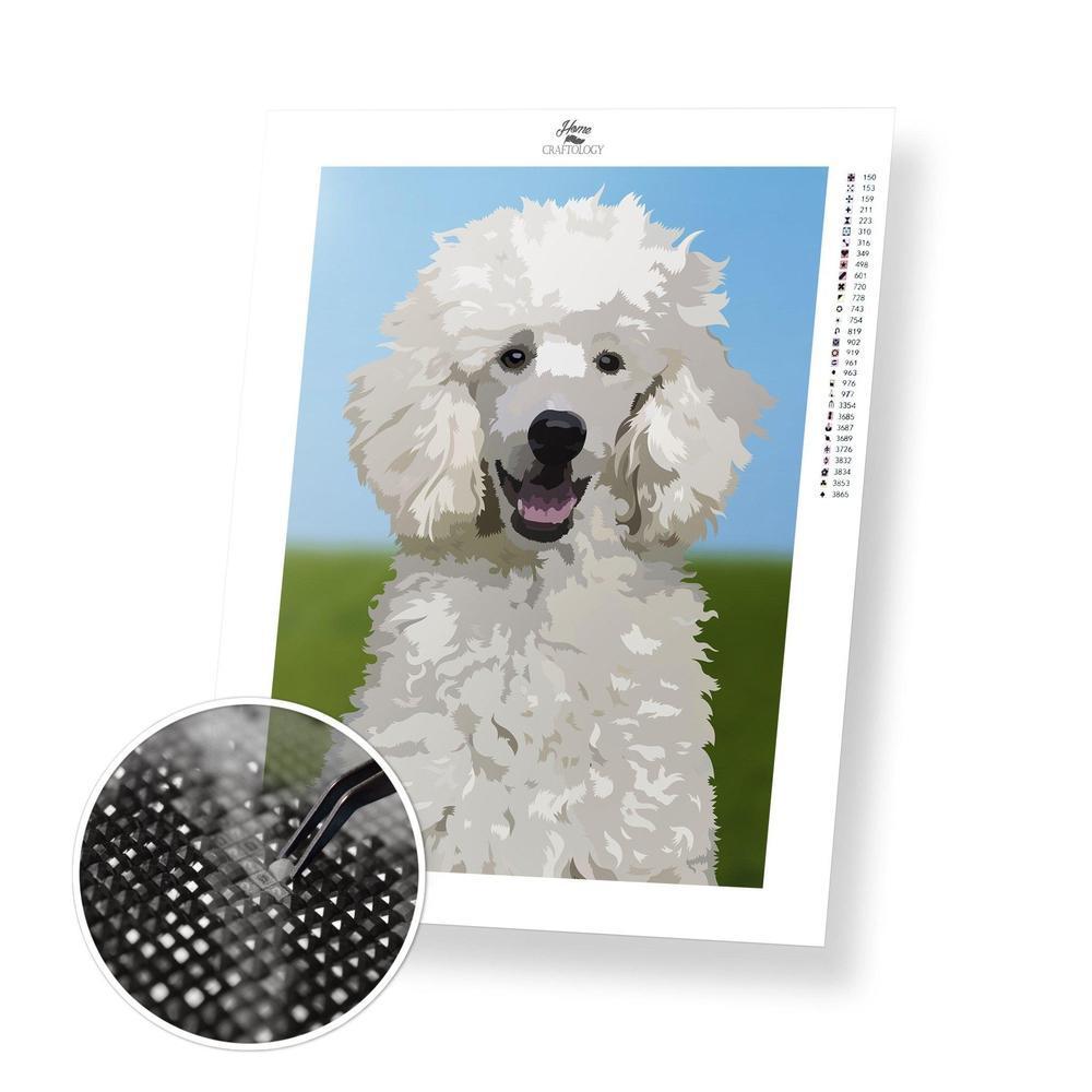 Poodle Dog - Diamond Painting Kit