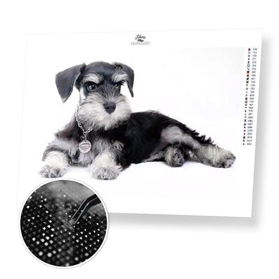 Schnauzer Dog - Diamond Painting Kit - Home Craftology