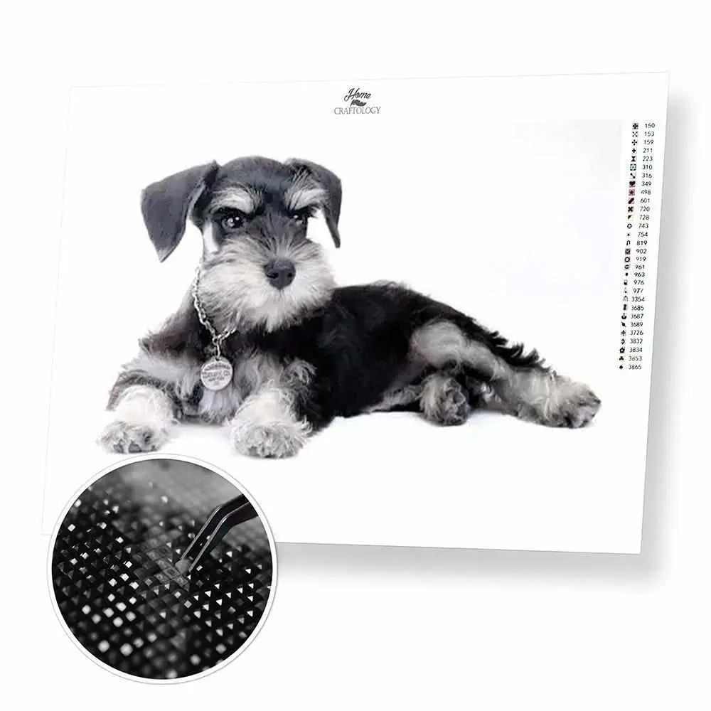 Custom Dogs Painting Kits